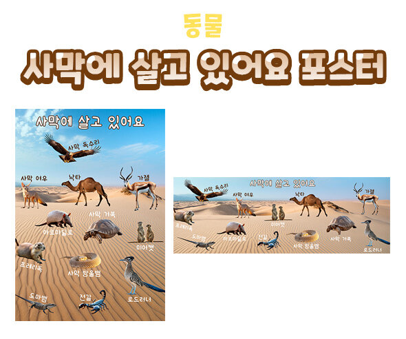 사막에 살고 있어요 포스터