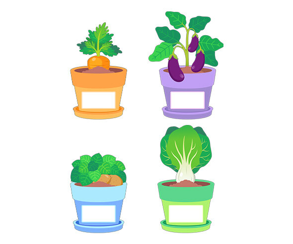 텃밭 작물 화분 이름표(가지,감자,당근,청경채)