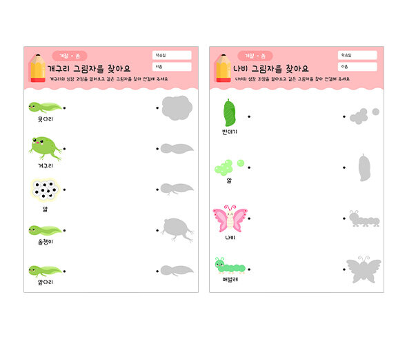그림자를 찾아요(개구리,나비)