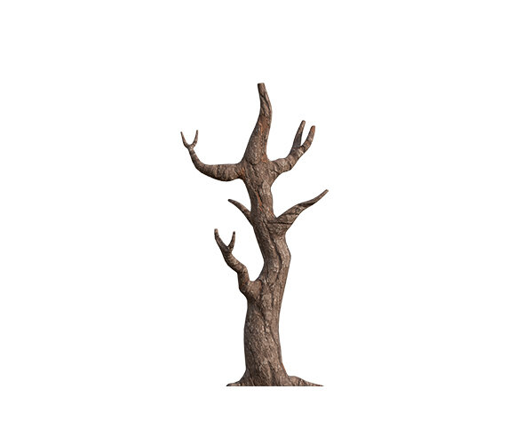 잎사귀 없는 나무