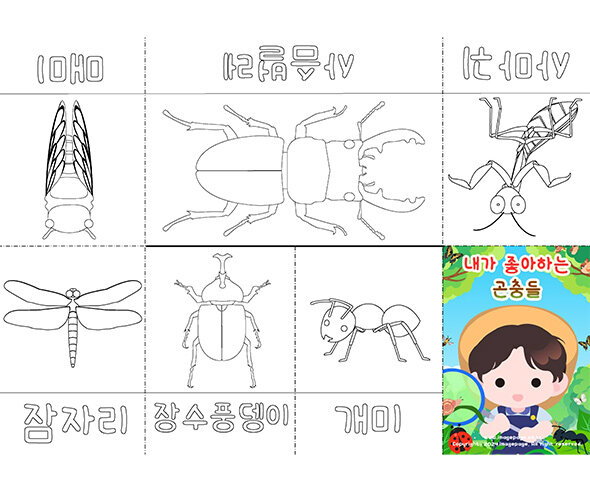 내가 좋아하는 곤충 사전