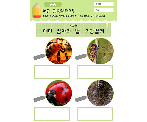 어떤 곤충일까요