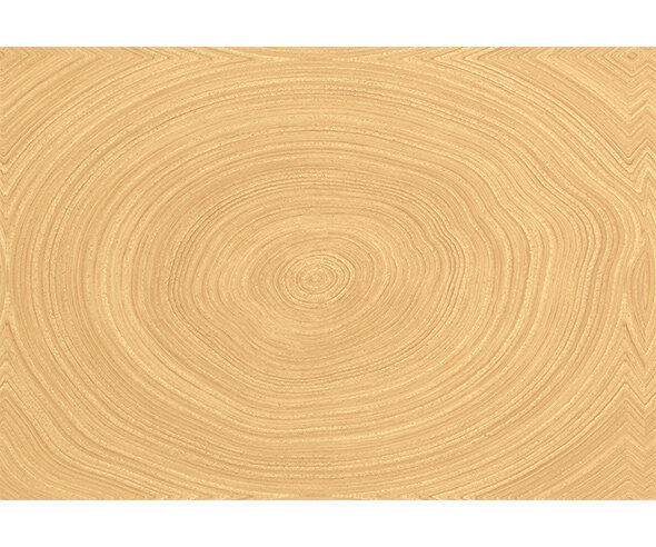 나무단면(둥근)