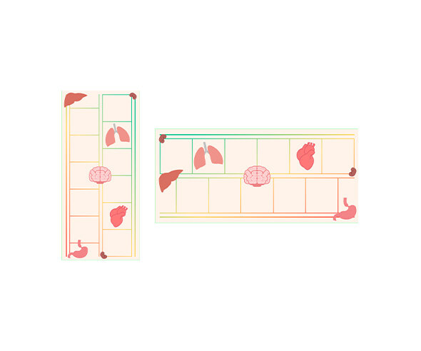 우리 몸속 기관 원고지 레터링(문구없음)