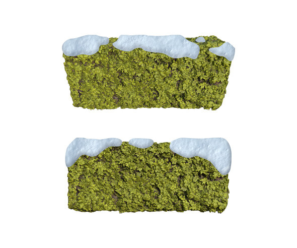 눈 쌓인 나무(덤블)