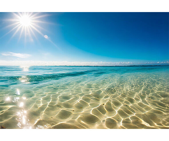 여름 바다 배경