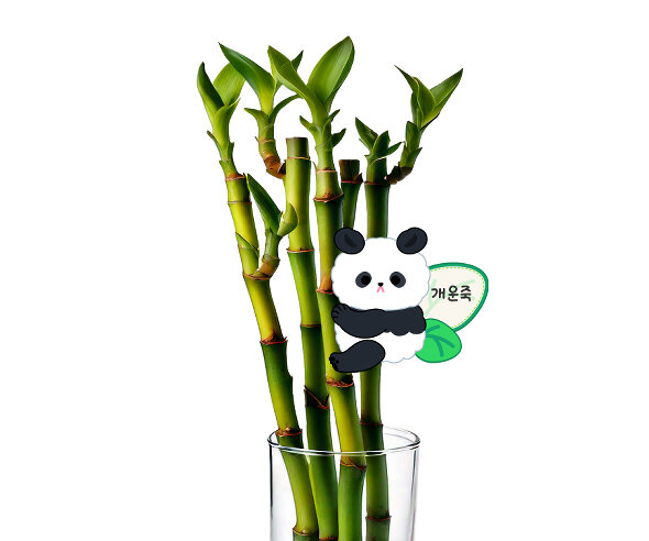 판다 화분 이름표