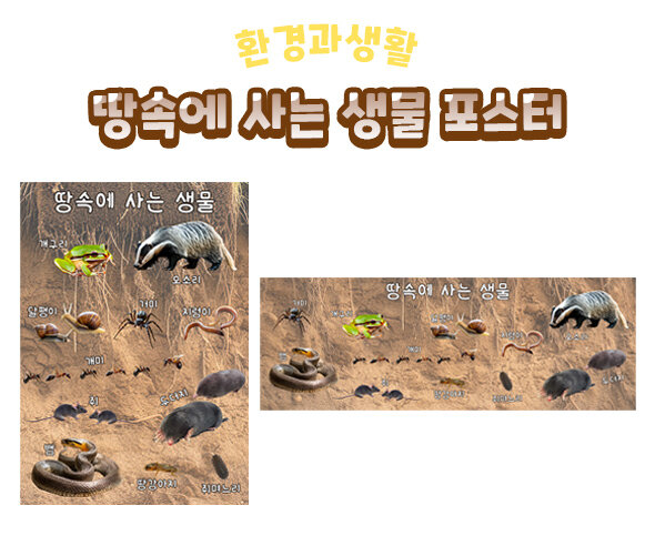 땅속에 사는 생물 포스터