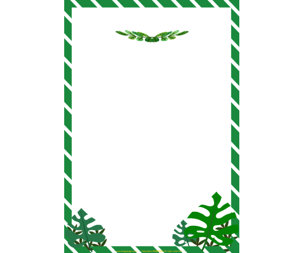 몬스테라 테두리