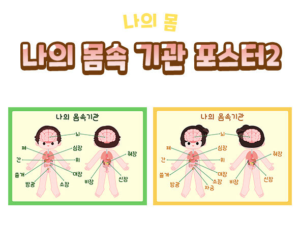 나의 몸속 기관 포스터