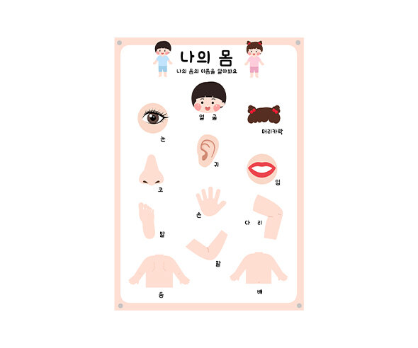 나의 몸 포스터 만들기2