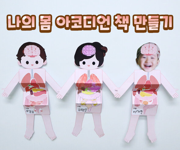 나의 몸 아코디언 책 만들기