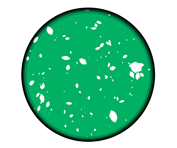 레트로 원형 접시