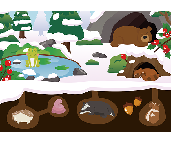 겨울잠 자는 동물 배경