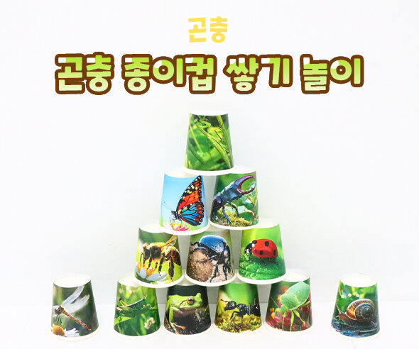 곤충 종이컵 쌓기 놀이