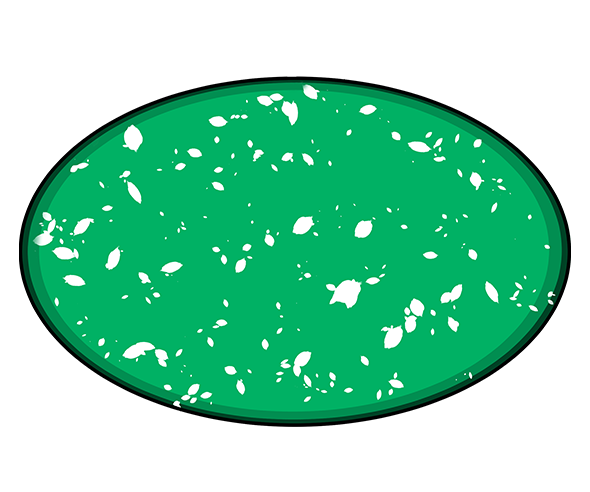 레트로 타원 접시