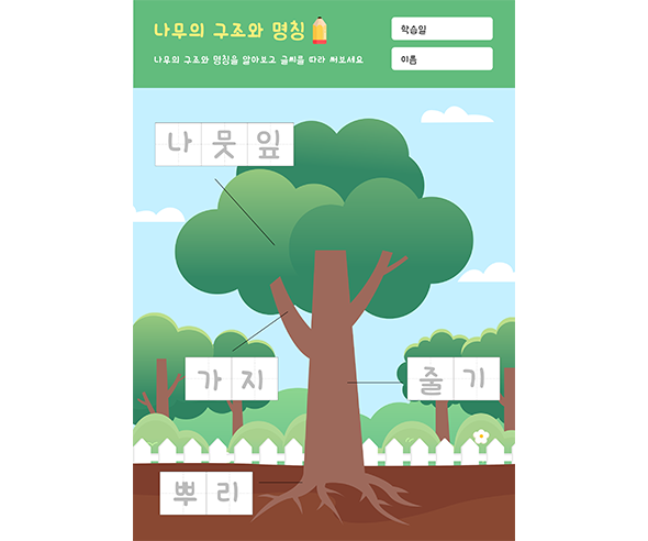 나무의 구조와 명칭