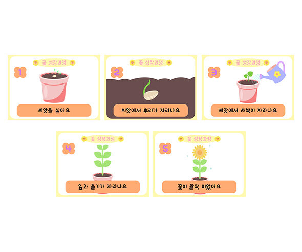 꽃 성장과정 순서도