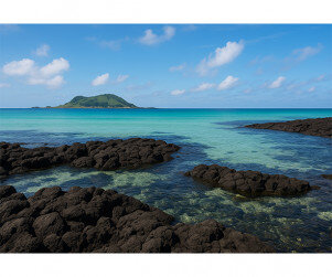 제주 앞바다 배경