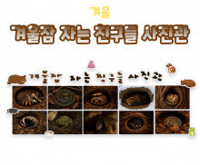 겨울잠 자는 친구들 사진관