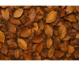 낙엽 바닥 배경 