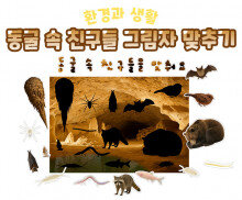 동굴 속 친구들 그림자 맞추기