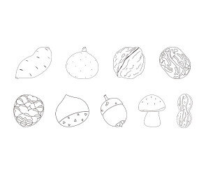 가을 열매 색칠 모음