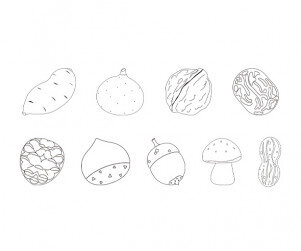 가을 열매 색칠 모음