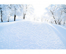 겨울 눈 밭 배경