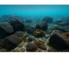 제주 바닷속 배경