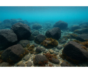 제주 바닷속 배경