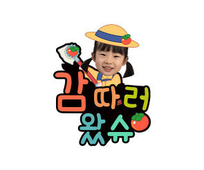 감따러 왔슈 합성 토퍼