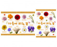 가을에 피는 꽃