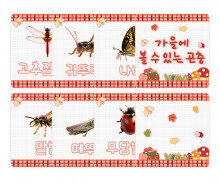 가을에 볼 수 있는 곤충 카드