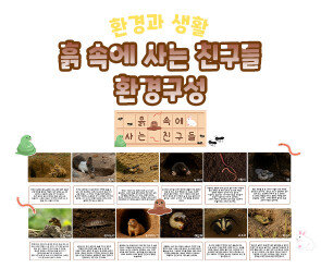 흙 속에 사는 친구들 환경구성