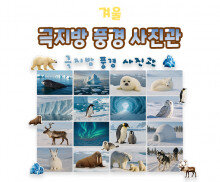 극지방 풍경 사진관