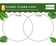 육식공룡과 초식공룡을 비교해요
