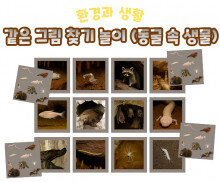 같은 그림 찾기 놀이 (동굴 속 생물)