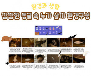 깜깜한 동굴 속 누가 살까 환경구성