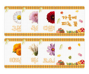 가을에 피는 꽃 카드
