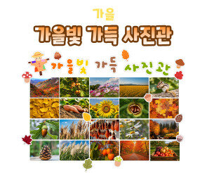 가을빛 가득 사진관