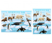 극지방에 사는 동물