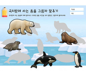 극지방에 사는 동물 그림자 맞추기