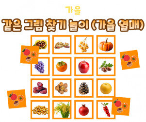 같은 그림 찾기 놀이(가을 열매)