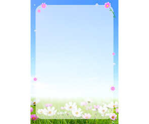 코스모스 테두리