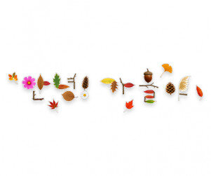 안녕! 가을아 자연물 레터링