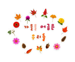 가을을 머금은 우리들 레터링