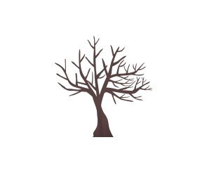 잎사귀 없는 나무