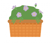 꽃