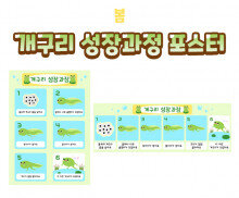 개구리 성장과정 포스터